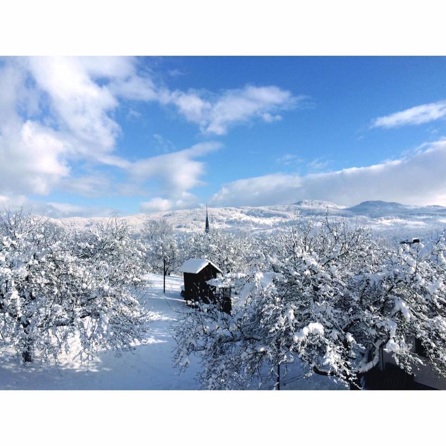 Pensiunea Martuca Surdesti  Exteriér fotografie